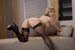 White_Rylee_7648